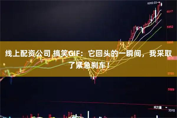 线上配资公司 搞笑GIF：它回头的一瞬间，我采取了紧急刹车！